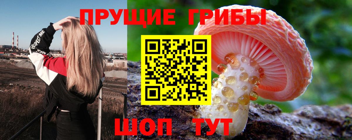 Ульяновск  Галлюциногенные грибы Psilocybe  Галлюциногенные грибы Magic Shrooms  Вход с VPN 